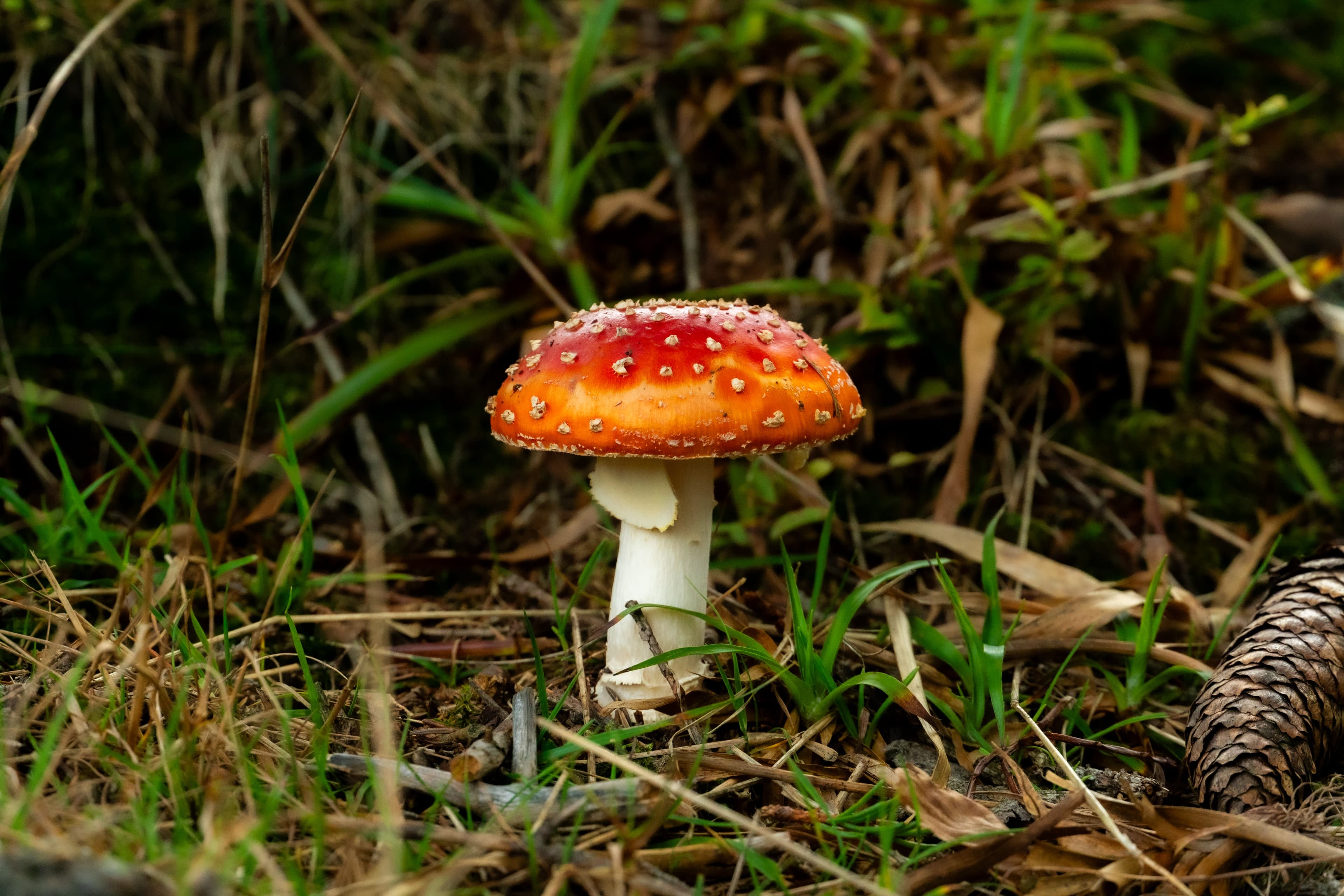 dsc9534 1782475196540