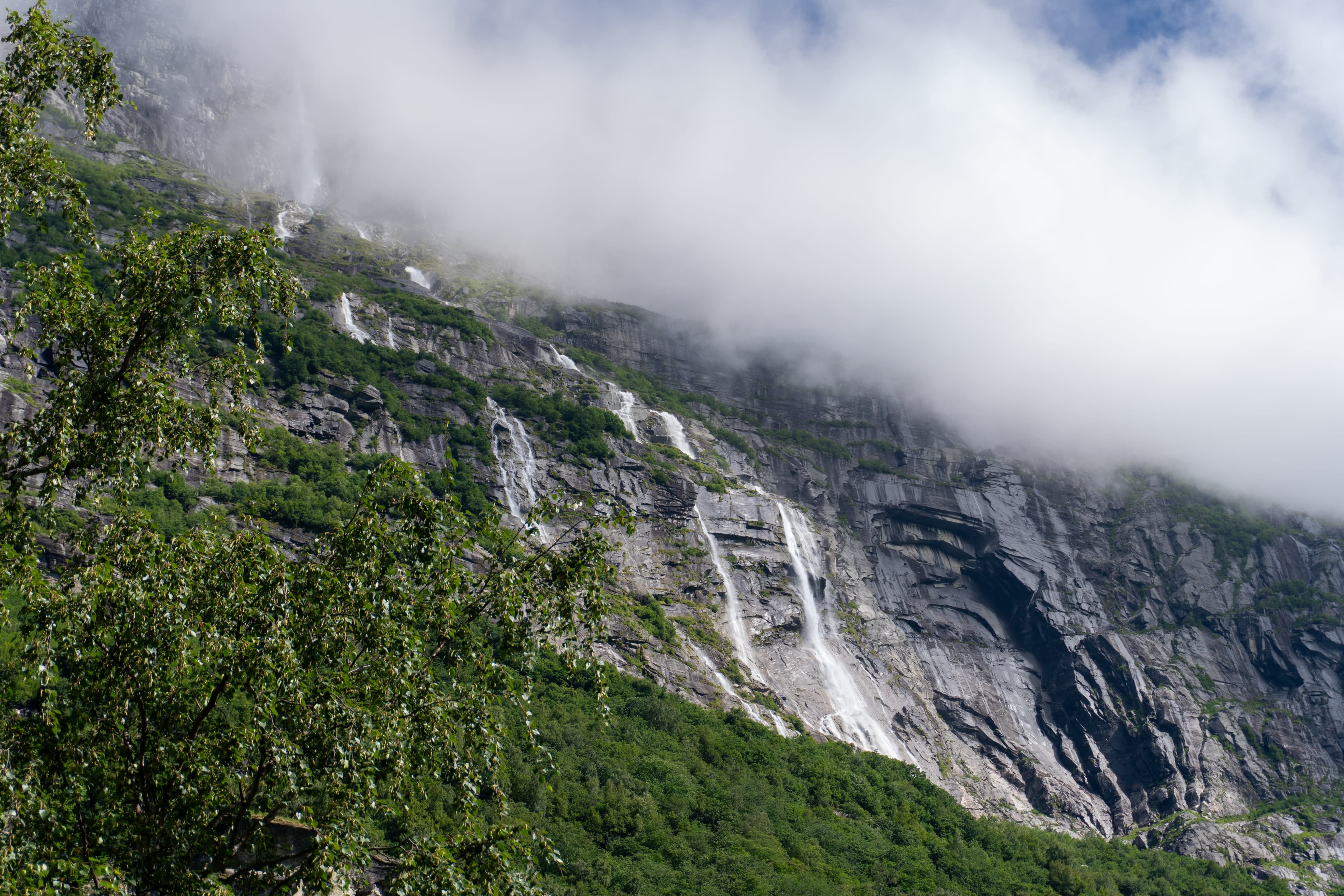 dsc5236 1782477417784