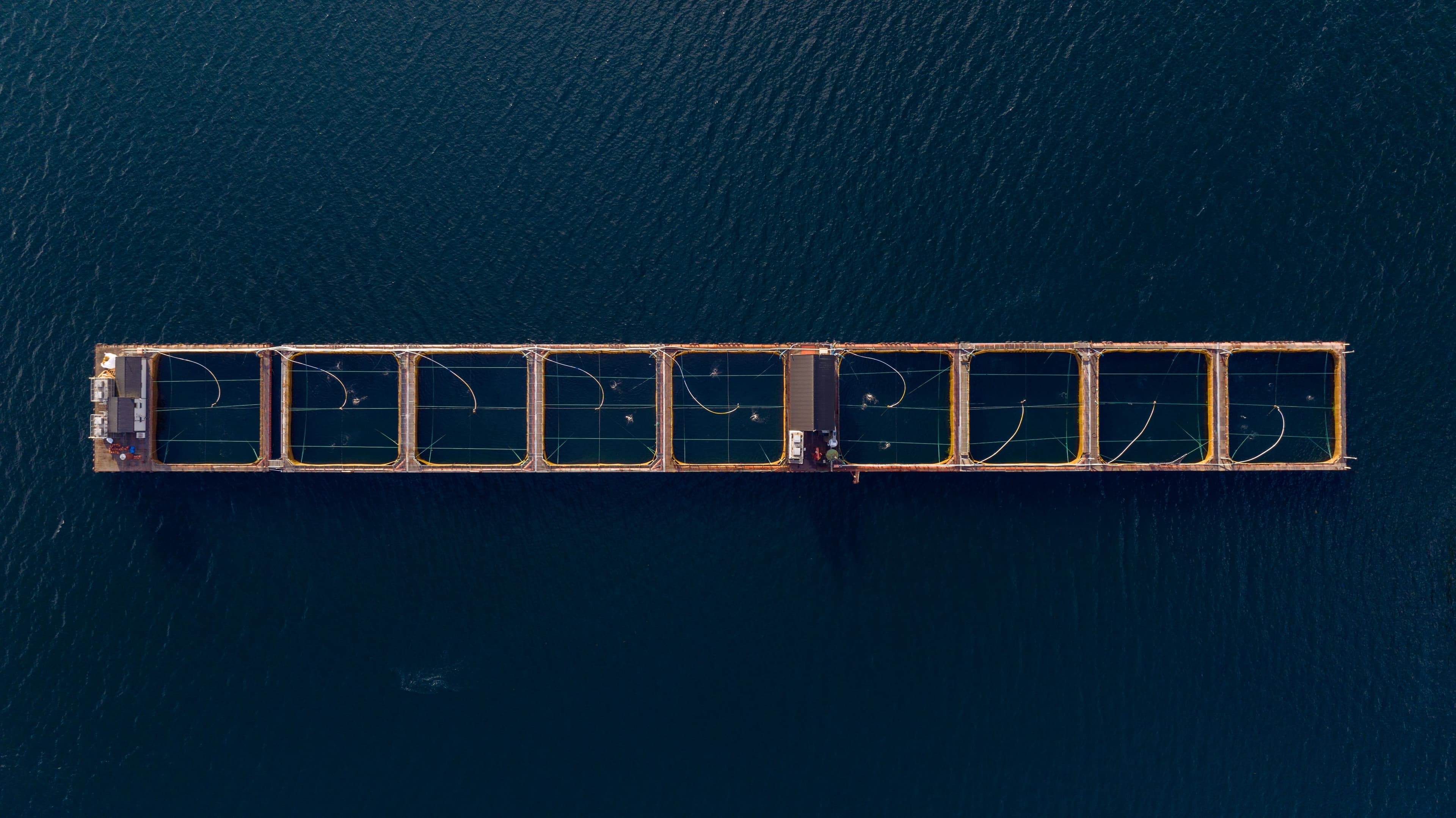 dji 20240715203247 0409 d 1782480568303